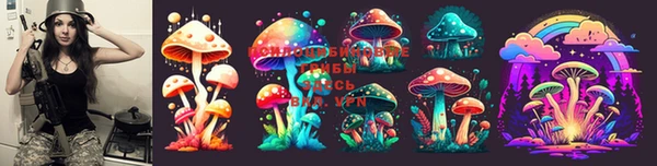 амф Шарыпово