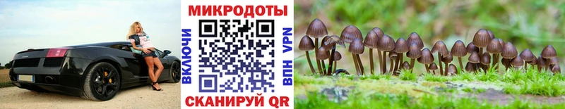 Галлюциногенные грибы MAGIC MUSHROOMS Купить Неман